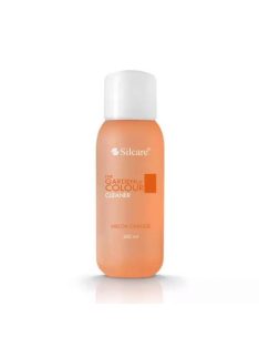 SILCARE CLEANER MELON 300ML