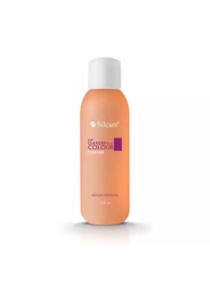 SILCARE CLEANER MELON 570ML